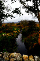 running off the peat bog connemara