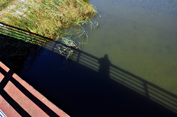 shadow on a bridge