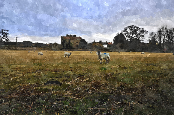 across to gainford hall