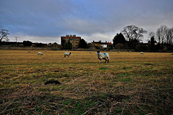 across to gainford hall