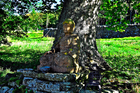 Buddha under the tree
