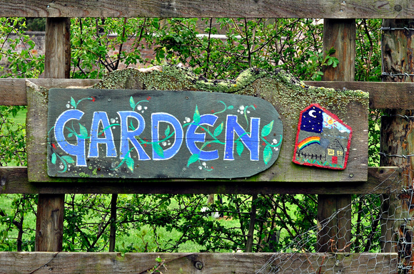 peace garden