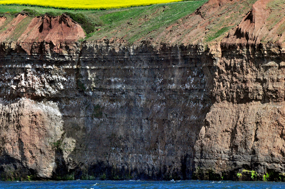 saltburn cliffs