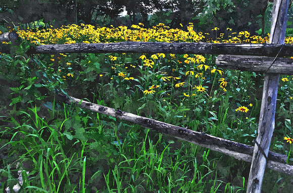old fence..