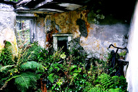abandoned cottage clifden
