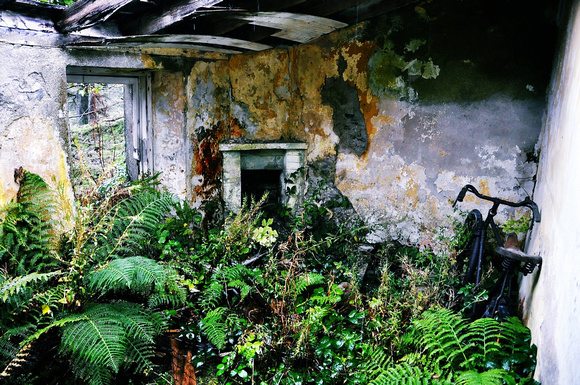 abandoned cottage clifden