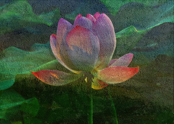 the jewel in the lotus