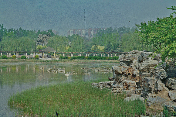 tongzhou park