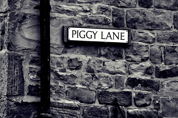 piggy lane
