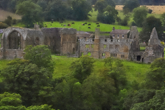 egglestone abbey barnard castle