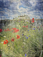 holy island