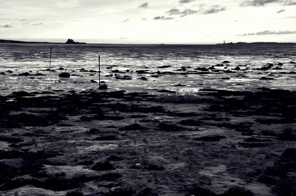 low tide at holy island