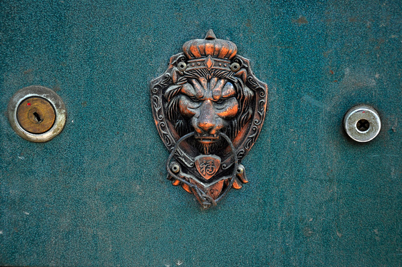 lock of the lion