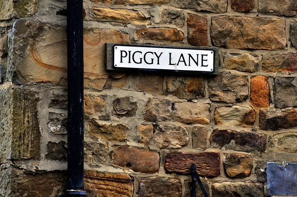 piggy lane...